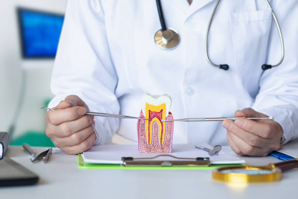 Best Weekend Emergency Dentist in Russell, PA